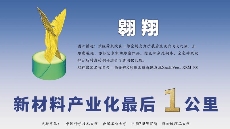 免钉胶与结构胶：性能差异与应用场景解析**