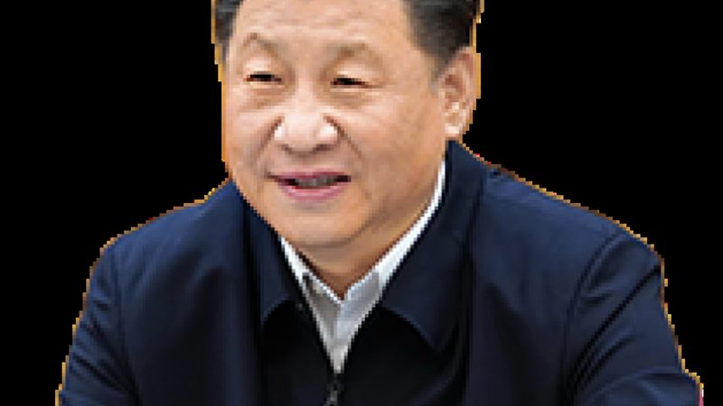 有机化工原料进出口操作步骤全解析